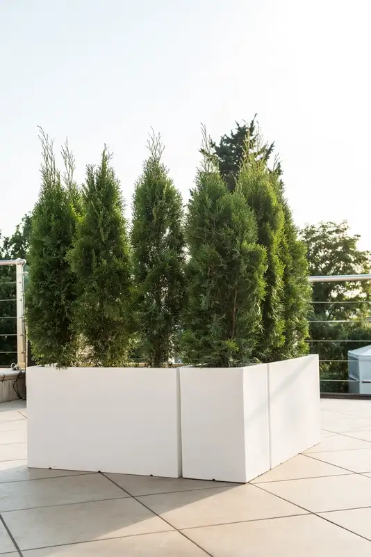 Jardinera-resina-100x49-Cassetta-atlantis